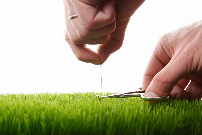 Perfectionisme: herkenbaar?